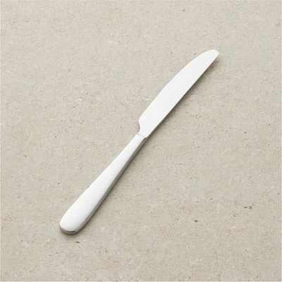 Fusion Dinner Knife