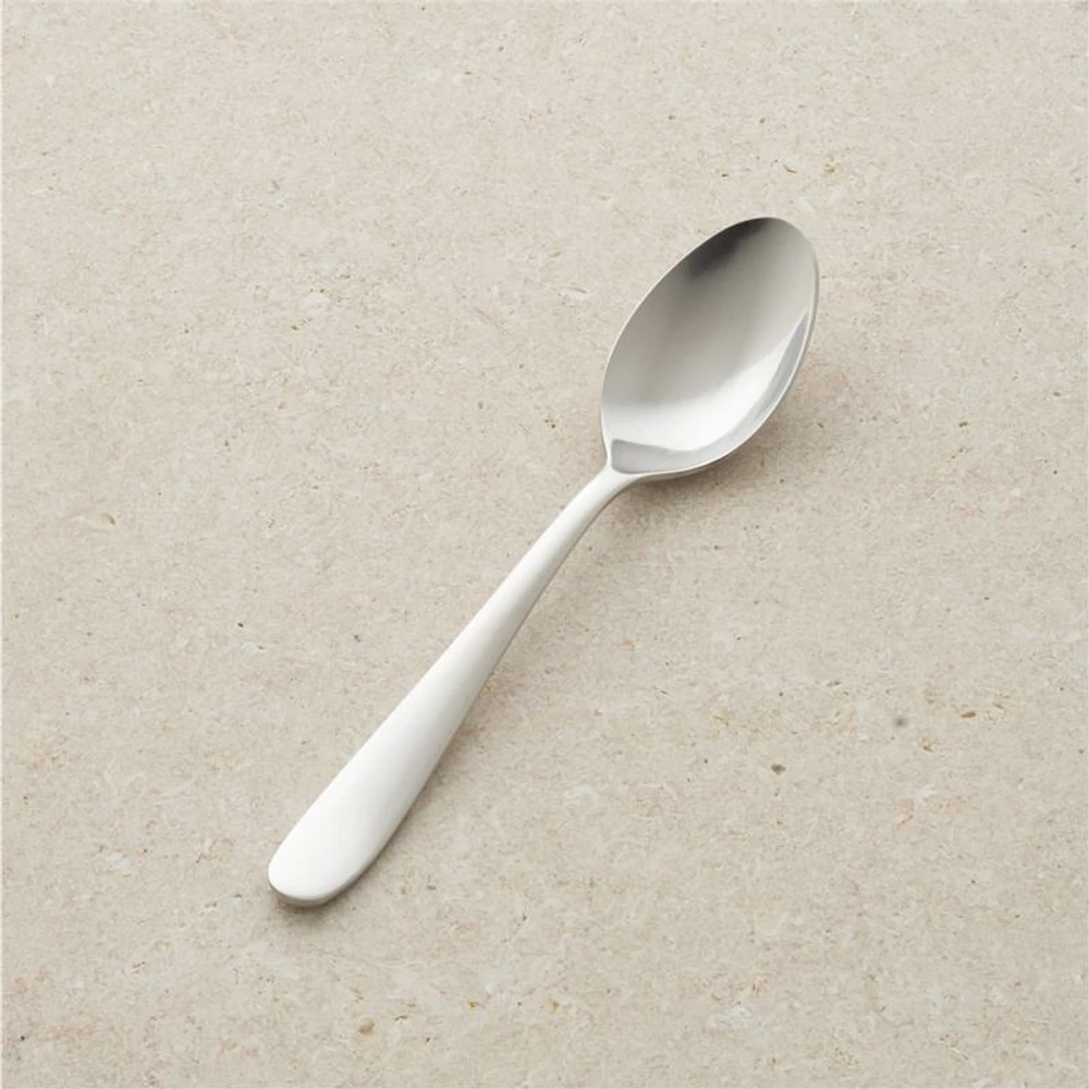 Fusion Dinner Spoon
