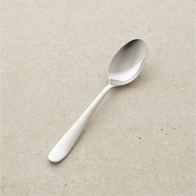 Fusion Dinner Spoon