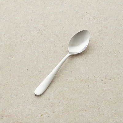 Fusion Teaspoon