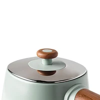 HADEN Dorchester Silt Green Variable Temperature Programmable Electric Tea Kettle