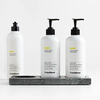 Lemon + Tangerine Hand Soap, Lotion and Dish Soap Set with Hayes Caddy