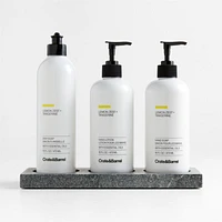 Lemon + Tangerine Hand Soap, Lotion and Dish Soap Set with Hayes Caddy