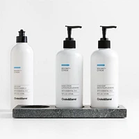 Sea Salt + Citron Hand Soap, Lotion and Dish Soap Set with Hayes Caddy