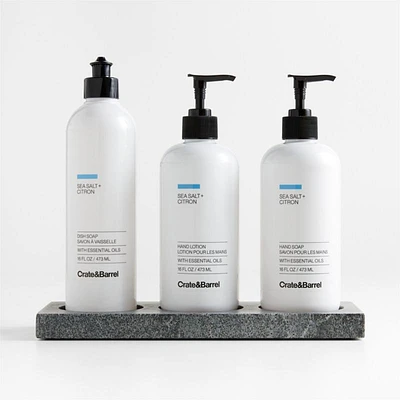 Sea Salt + Citron Hand Soap, Lotion and Dish Soap Set with Hayes Caddy