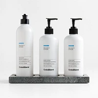Sea Salt + Citron Hand Soap, Lotion and Dish Soap Set with Hayes Caddy
