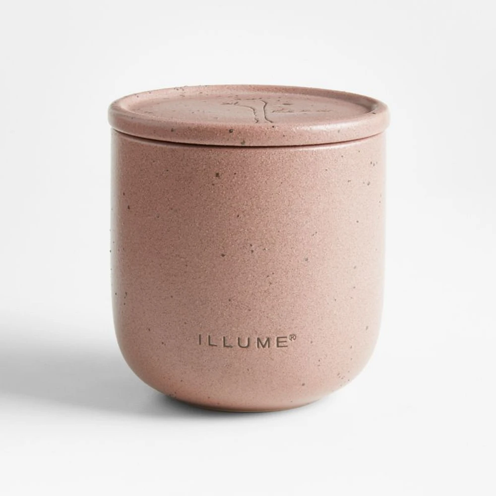 Illume Medium Citrus Cedar Leaf Outdoor Scented Candle