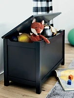 I'm Just a Charcoal Wooden Toy Box