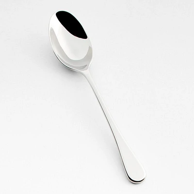 Tour Mirror Dinner Spoon