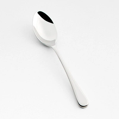 Tour Mirror Teaspoon