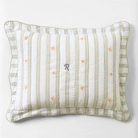 Francis Green Coral Reef Embroidered Stripe Kids Sham by Jake Arnold