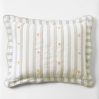 Francis Green Coral Reef Embroidered Stripe Kids Sham by Jake Arnold