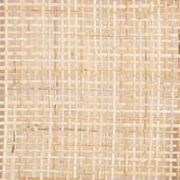 Libby Queen Cane Bed Frame