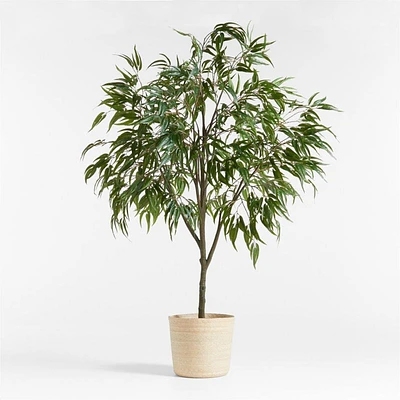 Potted Faux Long Leaf Eucalyptus Tree 9'