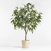 Potted Faux Long Leaf Eucalyptus Tree 9'