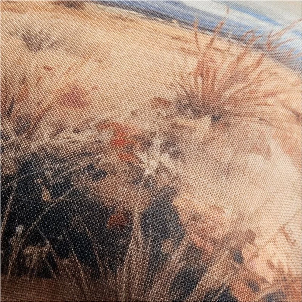 Mojave 23x23 Throw Pillow Cover