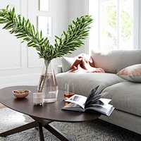 Apex Oval Coffee Table