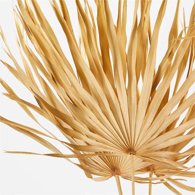 Dried Palm Fronds, Set of 3