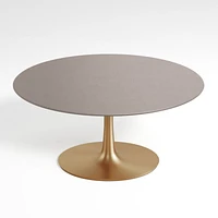 Nero 60" Oval Concrete Dining Table with Brass Base