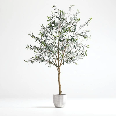 Faux Olive Tree in Pot 7'