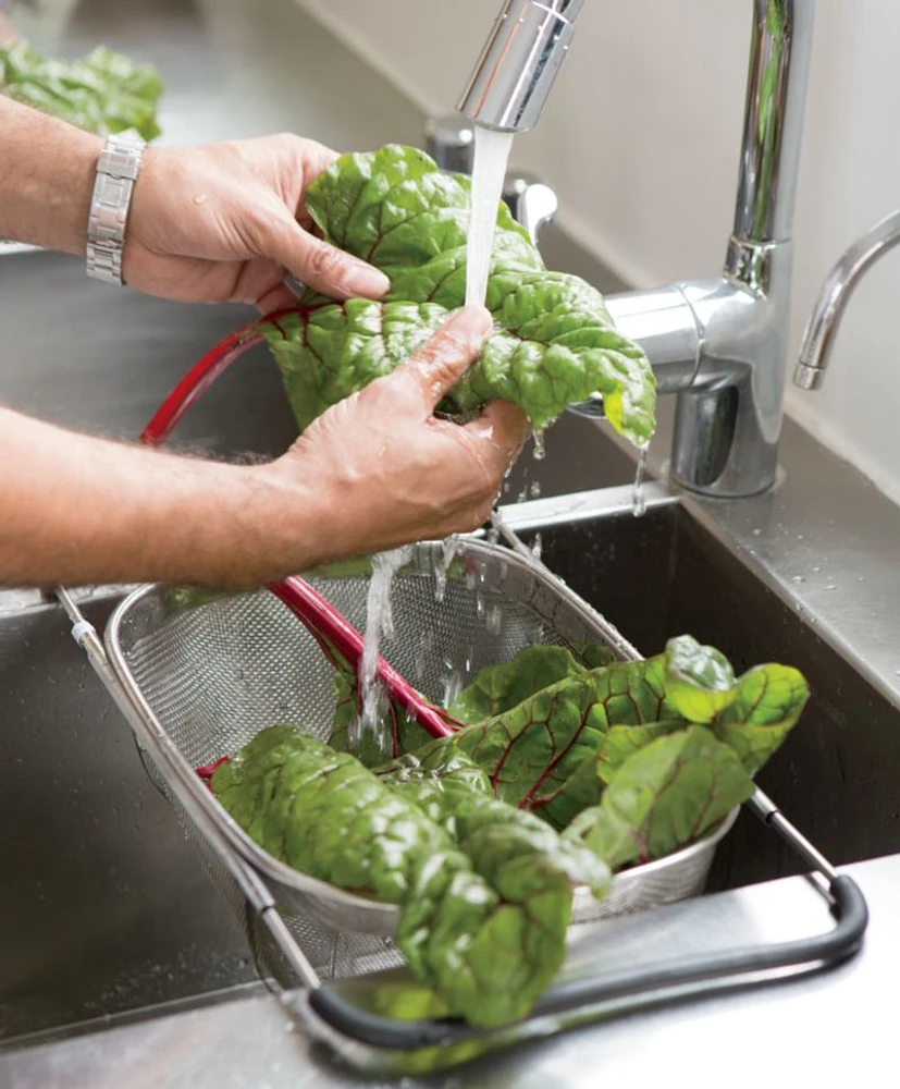 Over-The-Sink Mesh Colander