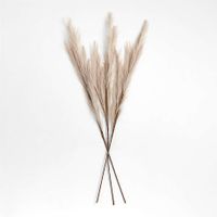 Faux Taupe Pampas Grass Bunch 45"