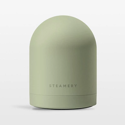 Steamery Pilo No.2 Sage Fabric Shaver