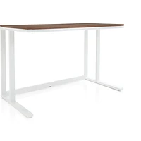 Pilsen Salt Desk with Walnut Top
