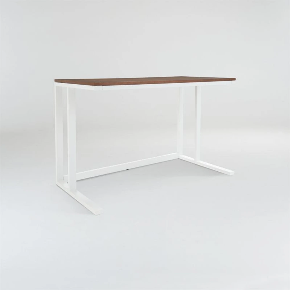 Pilsen Salt Desk with Walnut Top