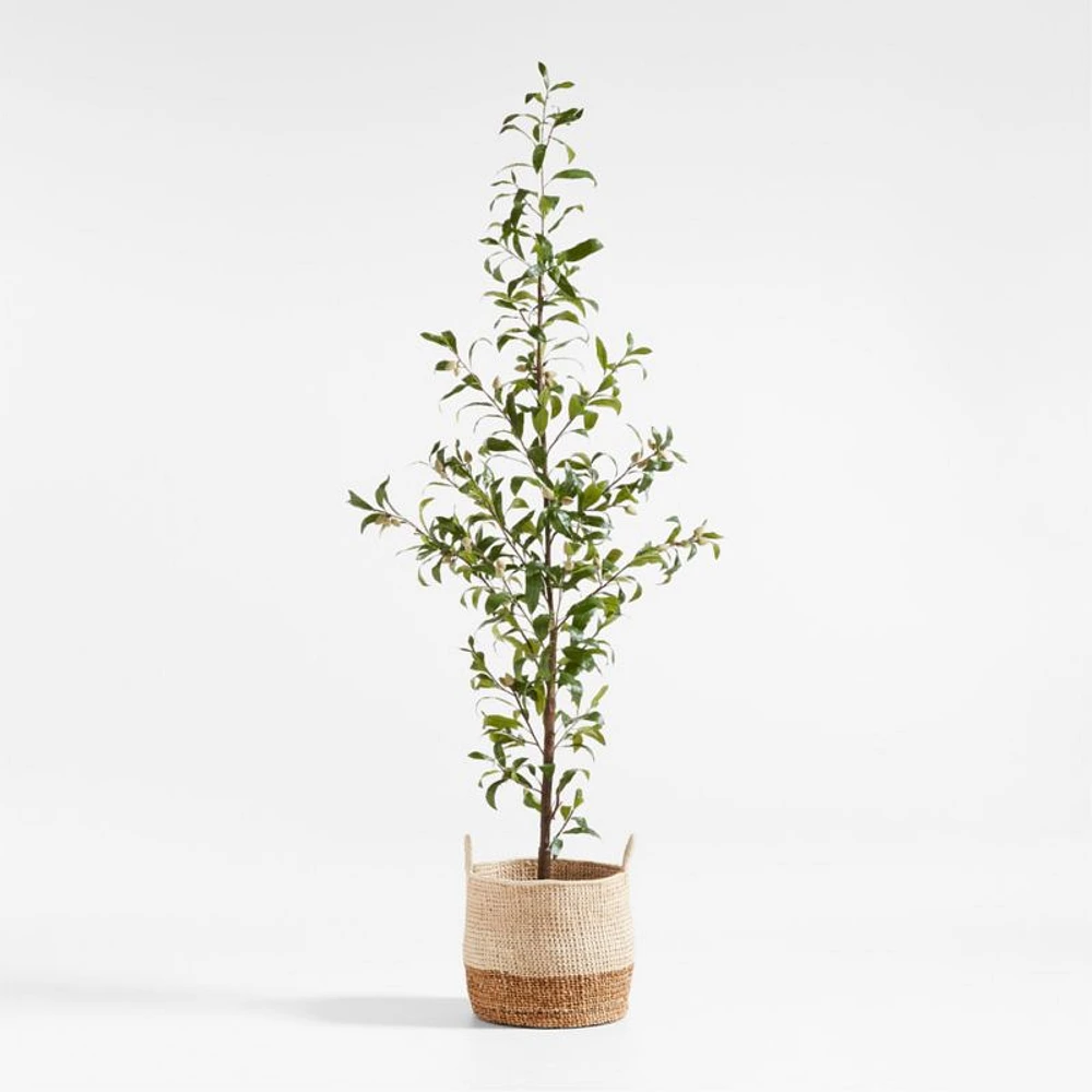 Potted Faux Almond Tree 8'