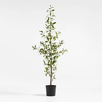 Potted Faux Almond Tree 8'