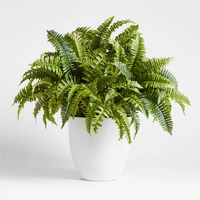 Potted Faux Fern 28"