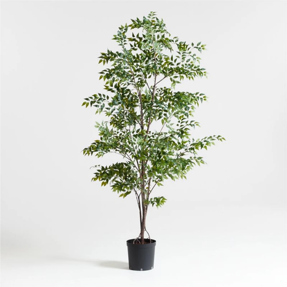 Faux Ficus Tree 8'