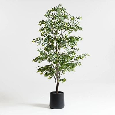 Faux Ficus Tree 8'