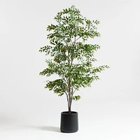 Faux Ficus Tree 8'