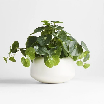 Potted Faux Pilea Plant in White Pot