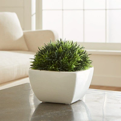 Potted Faux Moss