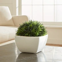Potted Faux Moss