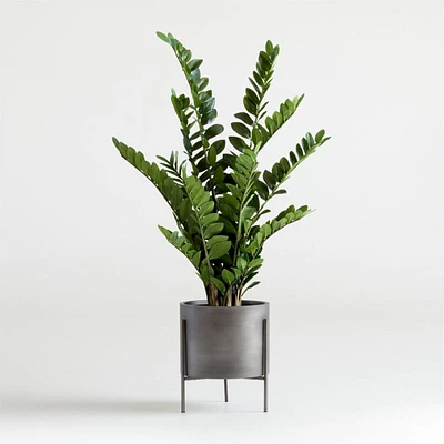 51" Faux Potted ZZ Plant