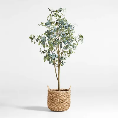 Faux Silver Dollar Eucalyptus Tree 8'