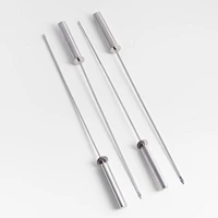 Stainless Steel Sliding Skewers with Hollow Handle, Set of 4