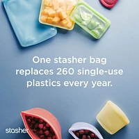 Stasher Clear 2-Piece Bag Set