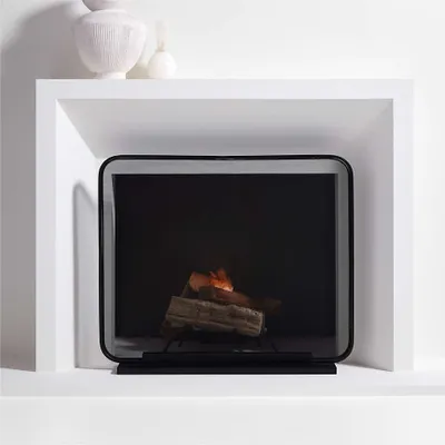 Telum Black Fireplace Screen