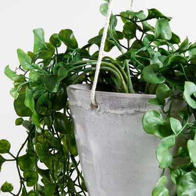 Faux Trailing Ficus Hanging Plant in Pot