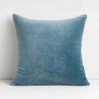 Aqua 20"x20" Cotton Sari Silk Throw Pillow with Down-Alternative Insert