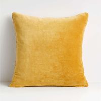 Aqua 20"x20" Cotton Sari Silk Throw Pillow with Down-Alternative Insert