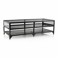 Ventana Black Iron and Glass 52" Rectangular Storage Coffee Table