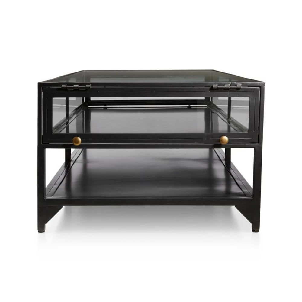 Ventana Black Iron and Glass 52" Rectangular Storage Coffee Table