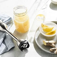Vitamix ® Black Brushed Stainless Steel Immersion Blender