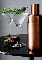 Aspen 8-Oz. Martini Glasses, Set of 8